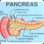 Pancreas