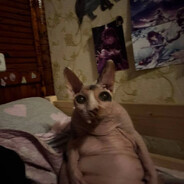 8055