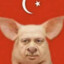 Erdoğançik