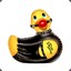 Gentil Petit Canard