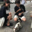 皎洁.