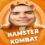 hmstr kombat founder