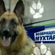 aboltus33#summerrust