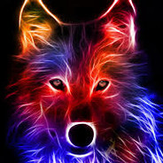 Barky014
