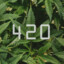 420