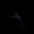 zow avatar