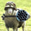 (54th MA) Gen. Evil Sheep