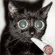 weed cat