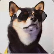 ——南栀倾寒°