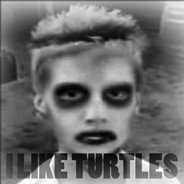 I Like Turtles