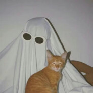 不过些许风霜罢了