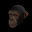 WHA U SAY?