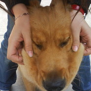 黄一峰请你吃鸡吧