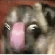 Battle Scarred Brain