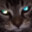 cat gaming