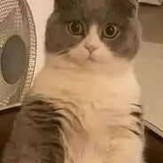 ♡Kajka♡