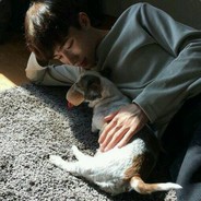 养了一只单身狗