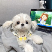 我吃饭的时候不饿