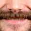 Stuey&#039;s Stache