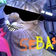 SebiCatscool