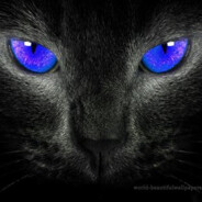 Copycat