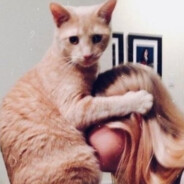 Андрюсик МБА