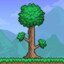 I love Terraria