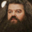 Hagrid