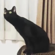 自己写简单就好