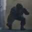 Avatar of Aler