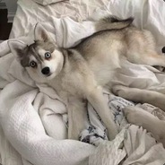 35345435435435435435