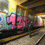 borakp1--