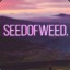 seedofweed1337