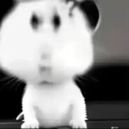 北朝之后又是隋朝