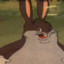 shadowking508