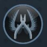 电脑玩家维克托