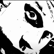 寒寒监监major冠军