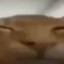 Errorchek