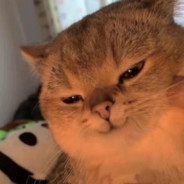 能源之城第一b哥龙卷风