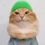 Котопес