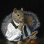 Mr. Squirrel™