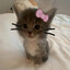 EfrAim ♥ N