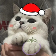 讲你老母炒花蟹