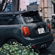 冰箱里面可以养鹅吗