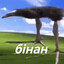 бiнан