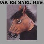 SnillHest - steam id 76561197971024144