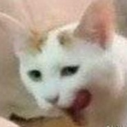 今天也不想起床