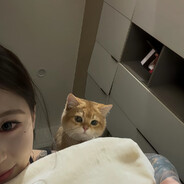 两岸统一刻不容缓