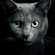 感谢你送我老鼠吃