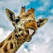 sebnichols avatar